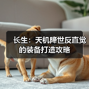 长生：天机降世反直觉的装备打造攻略（图2）