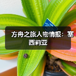 方舟之旅人物情报：塞西莉亚