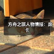 方舟之旅人物情报：露卡（图4）
