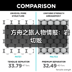 方舟之旅人物情报：岩切姬（图3）