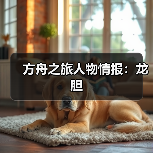 方舟之旅人物情报：龙胆（图2）