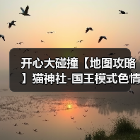 开心大碰撞【地图攻略】猫神社-国王模式色情流