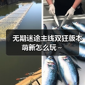 无期迷途主线双狂版本萌新怎么玩~(图2) 无期迷途主线双狂版本萌新怎么玩~(图2)