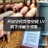开放空间异变空间 LV1 树下浮廊全收集(图4) 开放空间异变空间 LV1 树下浮廊全收集(图4)