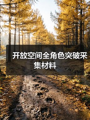开放空间全角色突破采集材料