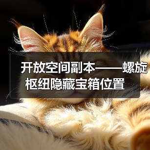 开放空间副本——螺旋枢纽隐藏宝箱位置