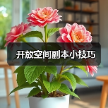 开放空间副本小技巧（图3）
