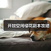开放空间樱花副本攻略(图2) 开放空间樱花副本攻略(图2)