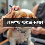 开放空间落落莓小测评(图3) 开放空间落落莓小测评(图3)