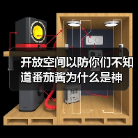 开放空间以防你们不知道番茄酱为什么是神（图2）