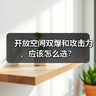 开放空间双爆和攻击力，应该怎么选？（图4）