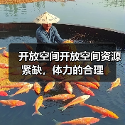 开放空间开放空间资源紧缺,体力的合理(图4) 开放空间开放空间资源紧缺,体力的合理(图4)