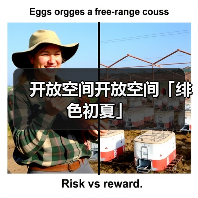开放空间开放空间「绯色初夏」(图4) 开放空间开放空间「绯色初夏」(图4)