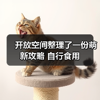 开放空间整理了一份萌新攻略 自行食用