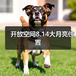 开放空间8.14大月亮位置