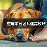 重建家园图九迷雾攻略（图2）