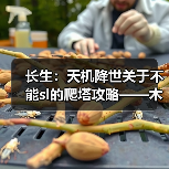 长生：天机降世关于不能sl的爬塔攻略——木塔篇（图3）