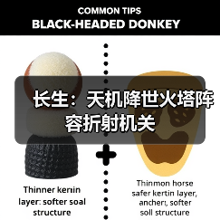 长生:天机降世火塔阵容折射机关(图2) 长生:天机降世火塔阵容折射机关(图2)