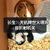 长生:天机降世火塔阵容折射机关(图1) 长生:天机降世火塔阵容折射机关(图1)
