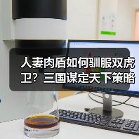 人妻肉盾如何驯服双虎卫？三国谋定天下策略解析（图4）