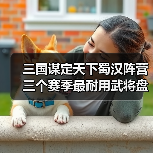 三国谋定天下蜀汉阵营三个赛季最耐用武将盘点：谁才是核心？（图4）