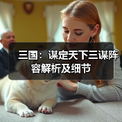 三国：谋定天下三谋阵容解析及细节（图2）