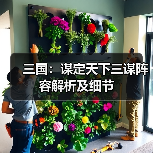 三国：谋定天下三谋阵容解析及细节（图4）