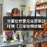 华夏绘世录元宝原来这样用【元宝使用攻略】