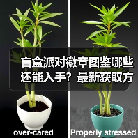 盲盒派对徽章图鉴哪些还能入手？最新获取方式揭秘（图3）