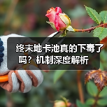 终末地卡池真的下毒了吗？机制深度解析（图4）