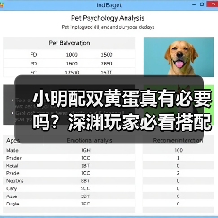小明配双黄蛋真有必要吗?深渊玩家必看搭配指南(图2) 小明配双黄蛋真有必要吗?深渊玩家必看搭配指南(图2)