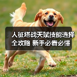 人征塔战天赋技能选择全攻略 新手必看必懂(图3) 人征塔战天赋技能选择全攻略 新手必看必懂(图3)