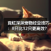 霓虹深渊宠物经营技巧：8只比12只更高效？