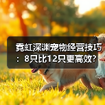 霓虹深渊宠物经营技巧：8只比12只更高效？（图3）