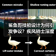 鲨鱼哥技能设计为何引发争议？疾风骑士深度解析（图3）