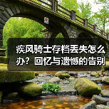 疾风骑士存档丢失怎么办？回忆与遗憾的告别（图2）