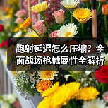 跑射延迟怎么压缩？全面战场枪械属性全解析（图2）