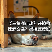 《三角洲行动》开镜移速怎么选？操控速度影响实战胜率（图4）