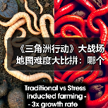 《三角洲行动》大战场地图难度大比拼：哪个最难打？（图2）