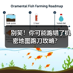 别笑!你可能跑错了机密地图跑刀攻略?(图1) 别笑!你可能跑错了机密地图跑刀攻略?(图1)