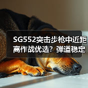 SG552突击步枪中近距离作战优选？弹道稳定高射速解析