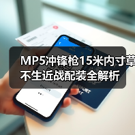 MP5冲锋枪15米内寸草不生近战配装全解析(图4) MP5冲锋枪15米内寸草不生近战配装全解析(图4)