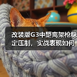 改装版G3中距离架枪稳定压制,实战表现如何?(图2) 改装版G3中距离架枪稳定压制,实战表现如何?(图2)