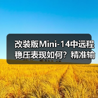 改装版Mini-14中远程稳压表现如何?精准输出短板分析(图1) 改装版Mini-14中远程稳压表现如何?精准输出短板分析(图1)