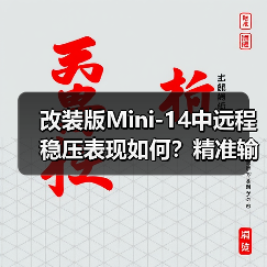 改装版Mini-14中远程稳压表现如何?精准输出短板分析(图3) 改装版Mini-14中远程稳压表现如何?精准输出短板分析(图3)