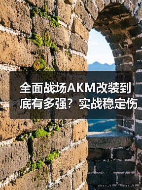 全面战场AKM改装到底有多强?实战稳定伤害解析(图4) 全面战场AKM改装到底有多强?实战稳定伤害解析(图4)