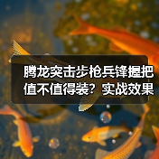 腾龙突击步枪兵锋握把值不值得装?实战效果全解析(图4) 腾龙突击步枪兵锋握把值不值得装?实战效果全解析(图4)