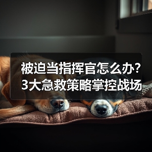 被迫当指挥官怎么办?3大急救策略掌控战场局势(图3) 被迫当指挥官怎么办?3大急救策略掌控战场局势(图3)
