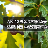 AK-12改装步枪多场景适配神器 中近距离作战首选(图4) AK-12改装步枪多场景适配神器 中近距离作战首选(图4)