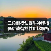 三角洲行动野牛冲锋枪低价战备枪性价比解析(图1) 三角洲行动野牛冲锋枪低价战备枪性价比解析(图1)